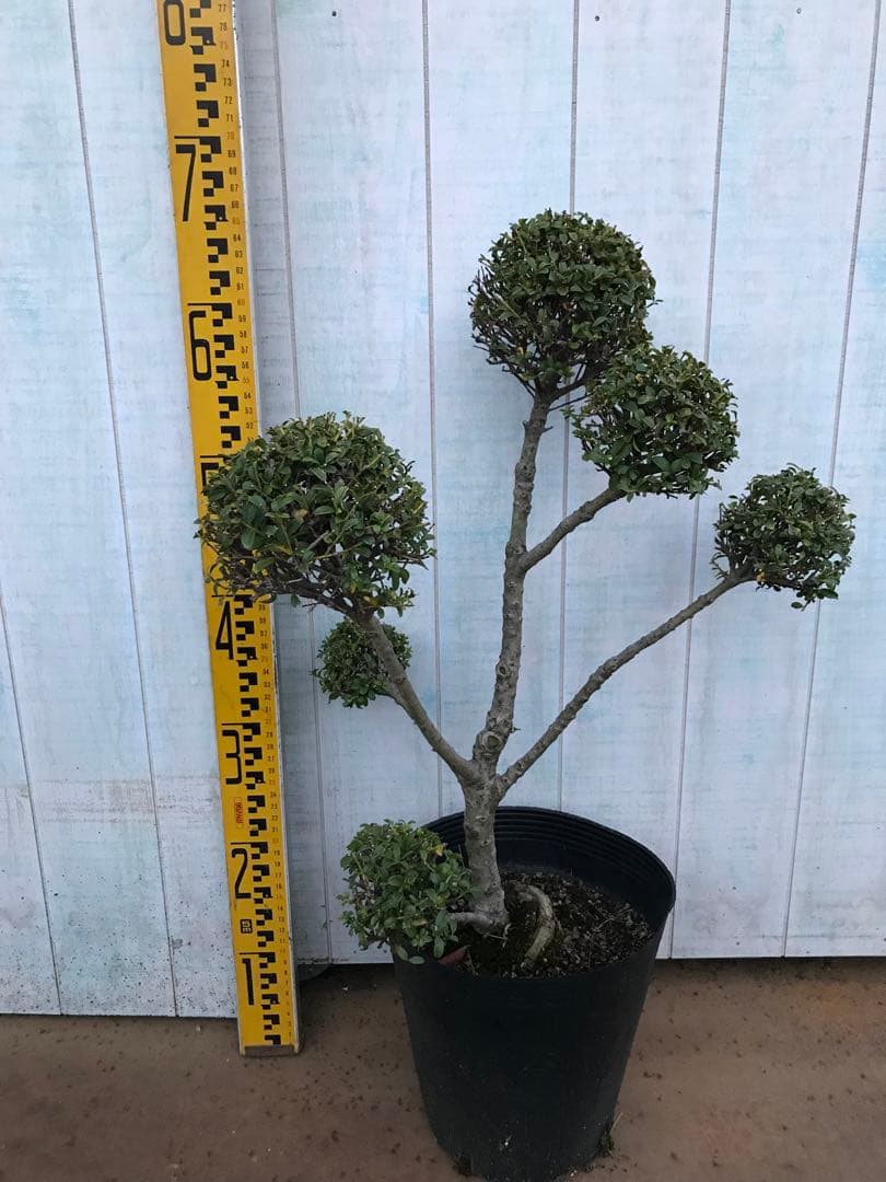 yutax6様 リクエスト 2点 まとめ商品