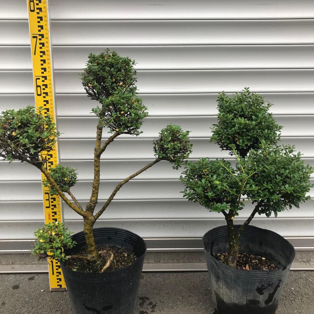 yutax6様 リクエスト 2点 まとめ商品