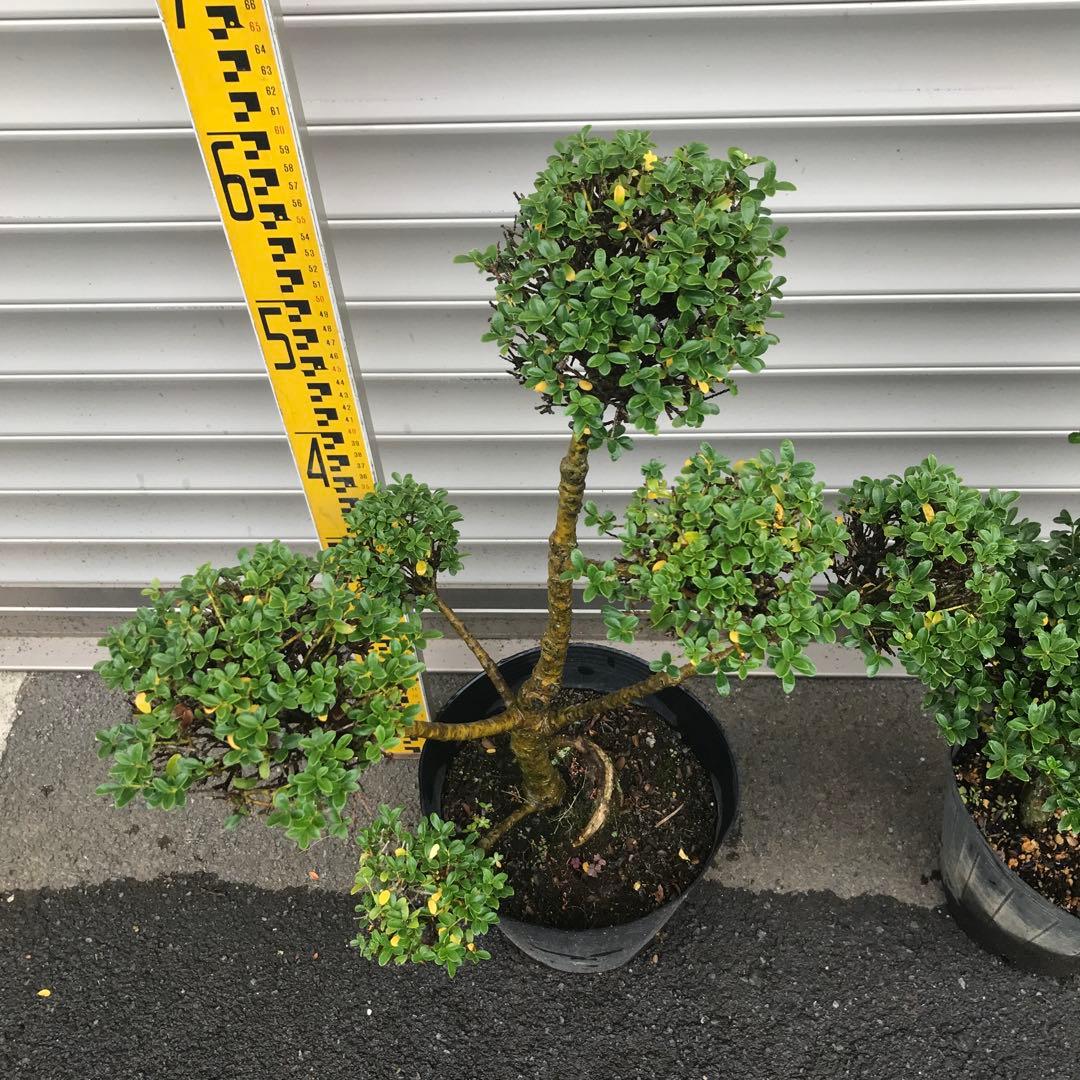 yutax6様 リクエスト 2点 まとめ商品