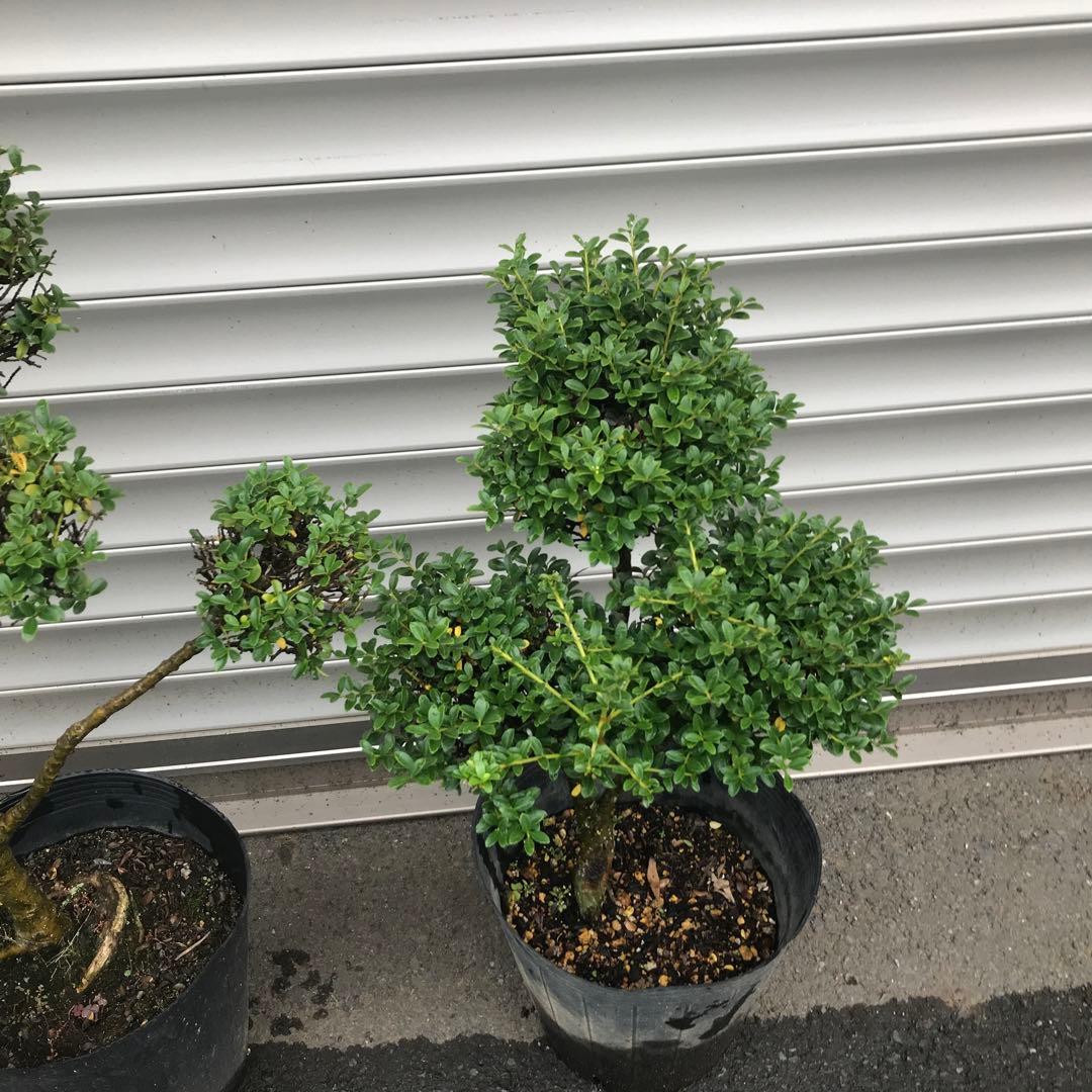 yutax6様 リクエスト 2点 まとめ商品