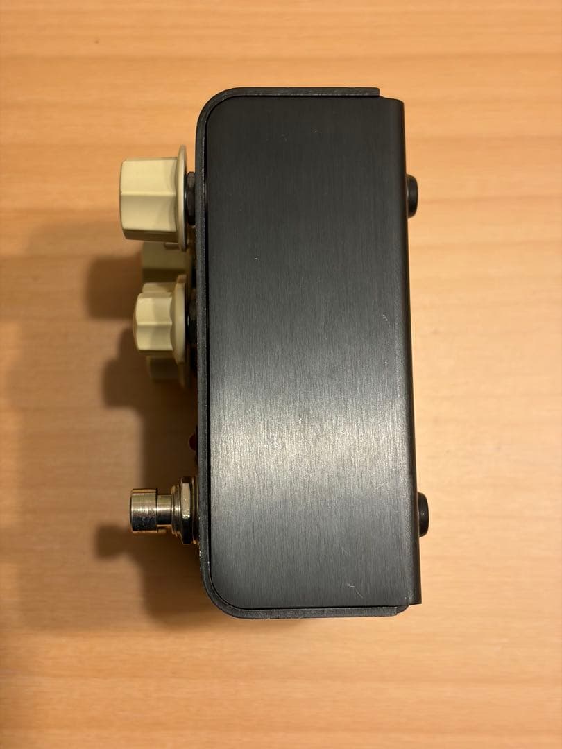 Strymon Flint 中古