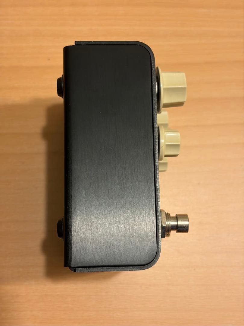 Strymon Flint 中古