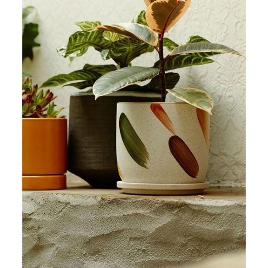 トゥデイズスペシャル / デシレ ポット 15cm