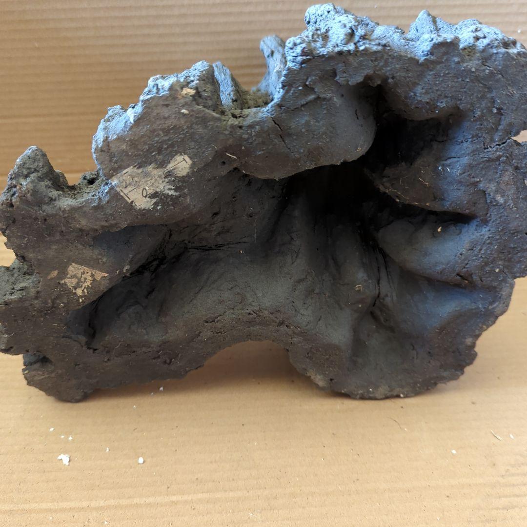 山野草鉢　岩石　水昇岩　ロックプランツ鉢 　大