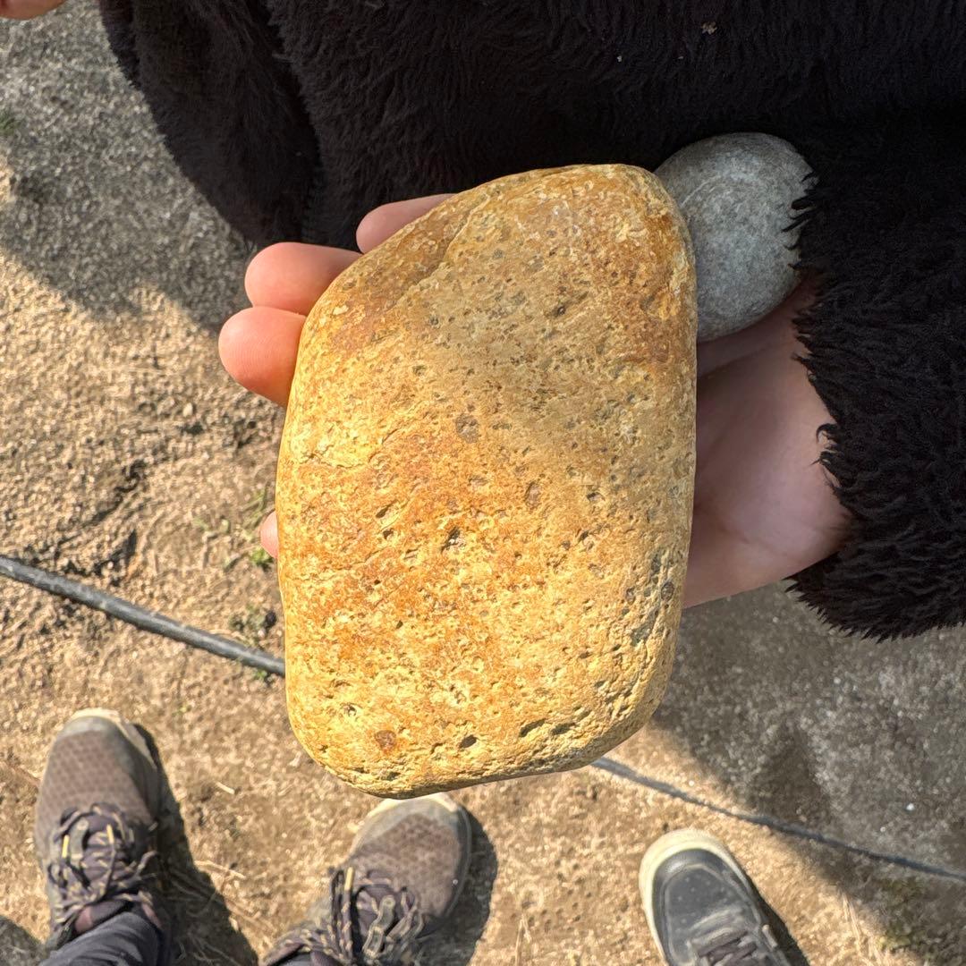 平らな黄土色の石