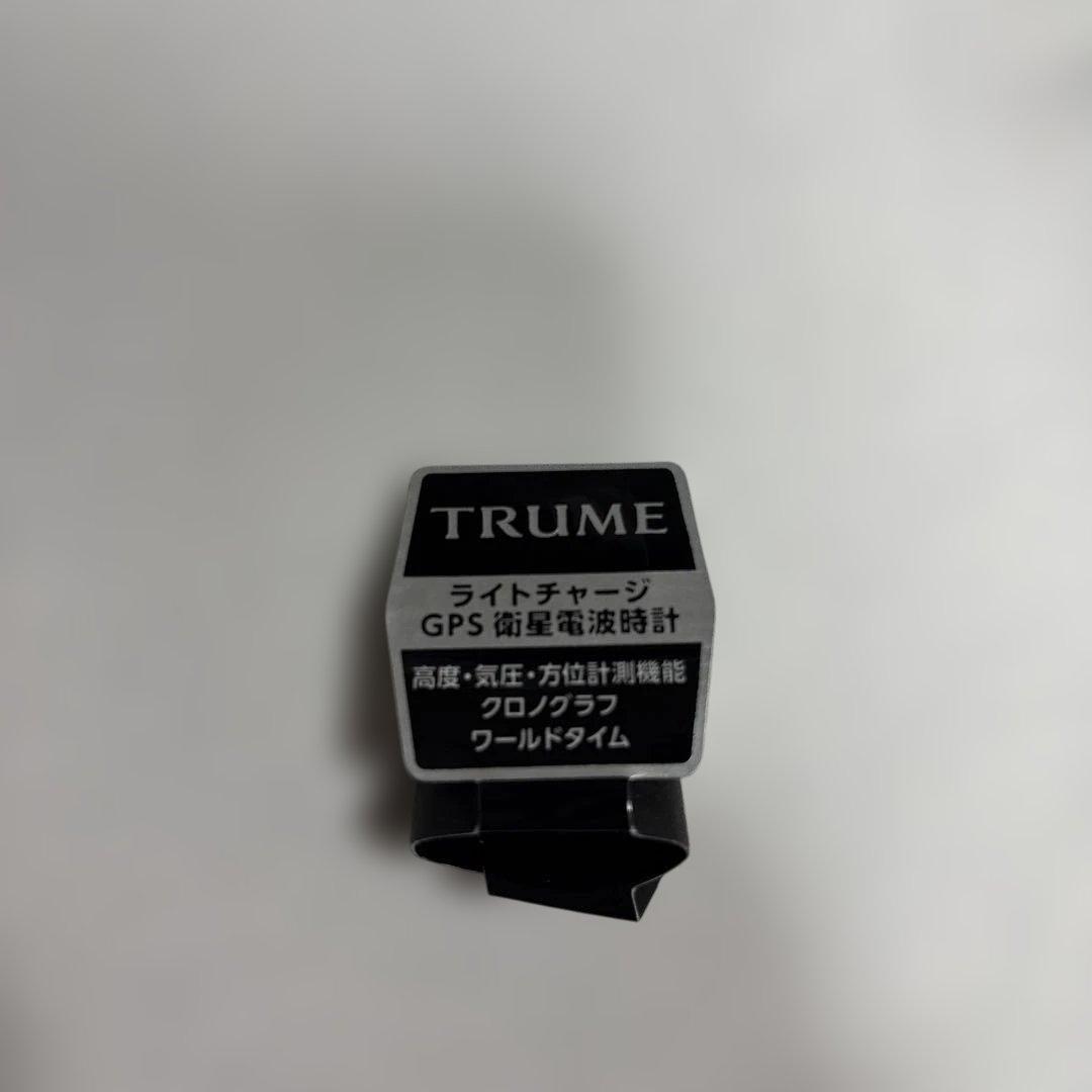 時計 エプソン トゥルームGPS電波ソーラー TR-MB8006 ライトチャージ