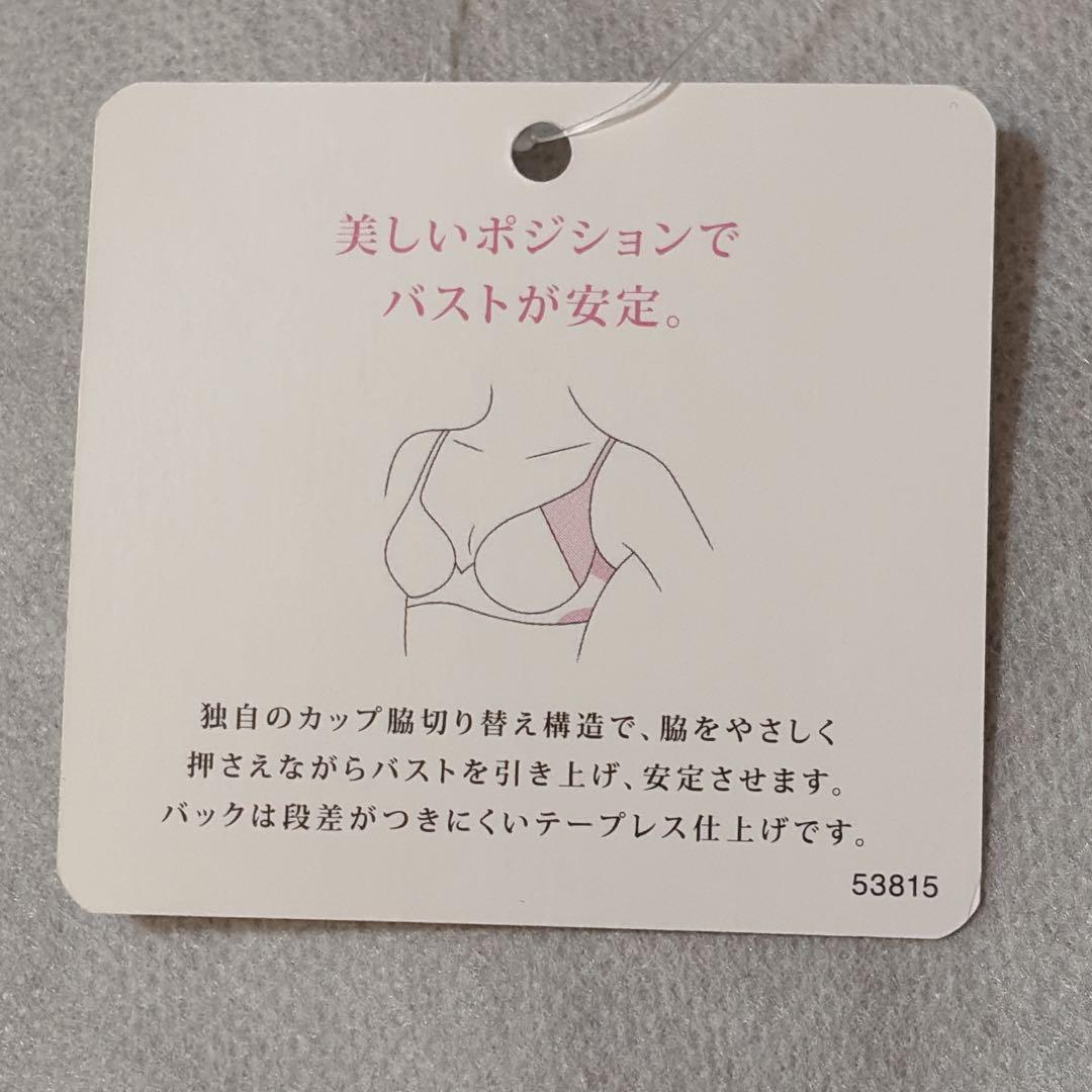 ワコール　パルファージュ　アドマイヤーブラ＆ソング　D70　新品　匿名配送