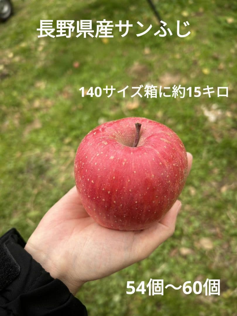 ネモフィラ様　長野県産サンふじ　3段箱です