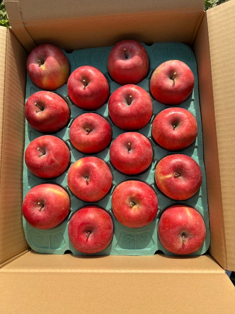ネモフィラ様　長野県産サンふじ　3段箱です