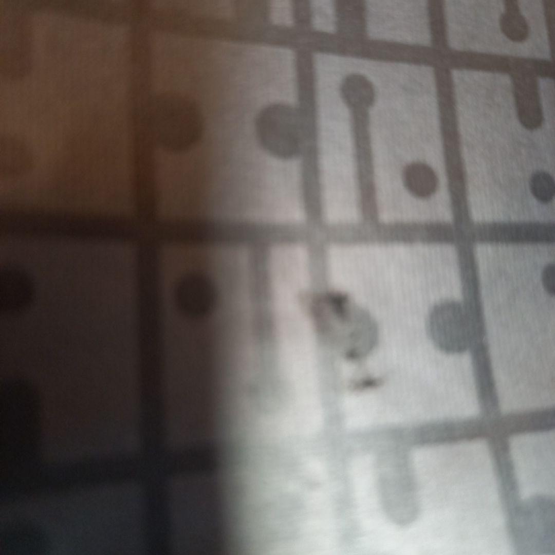 [お値下げ]ヤマト屋RaviRavi　2way ボストンバッグ　大