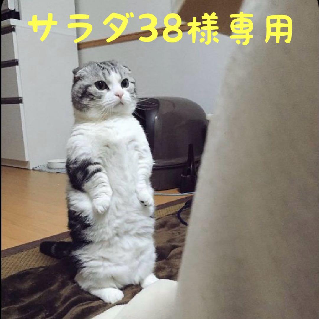 五爪皇帝龍天珠 ブレスレット