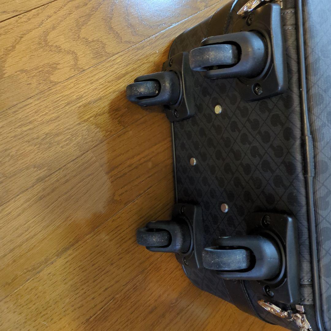 ゲラルディーニ　キャリーバッグ 30000円→27000