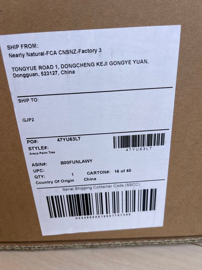 観葉植物 フェイク FICUS フィカス