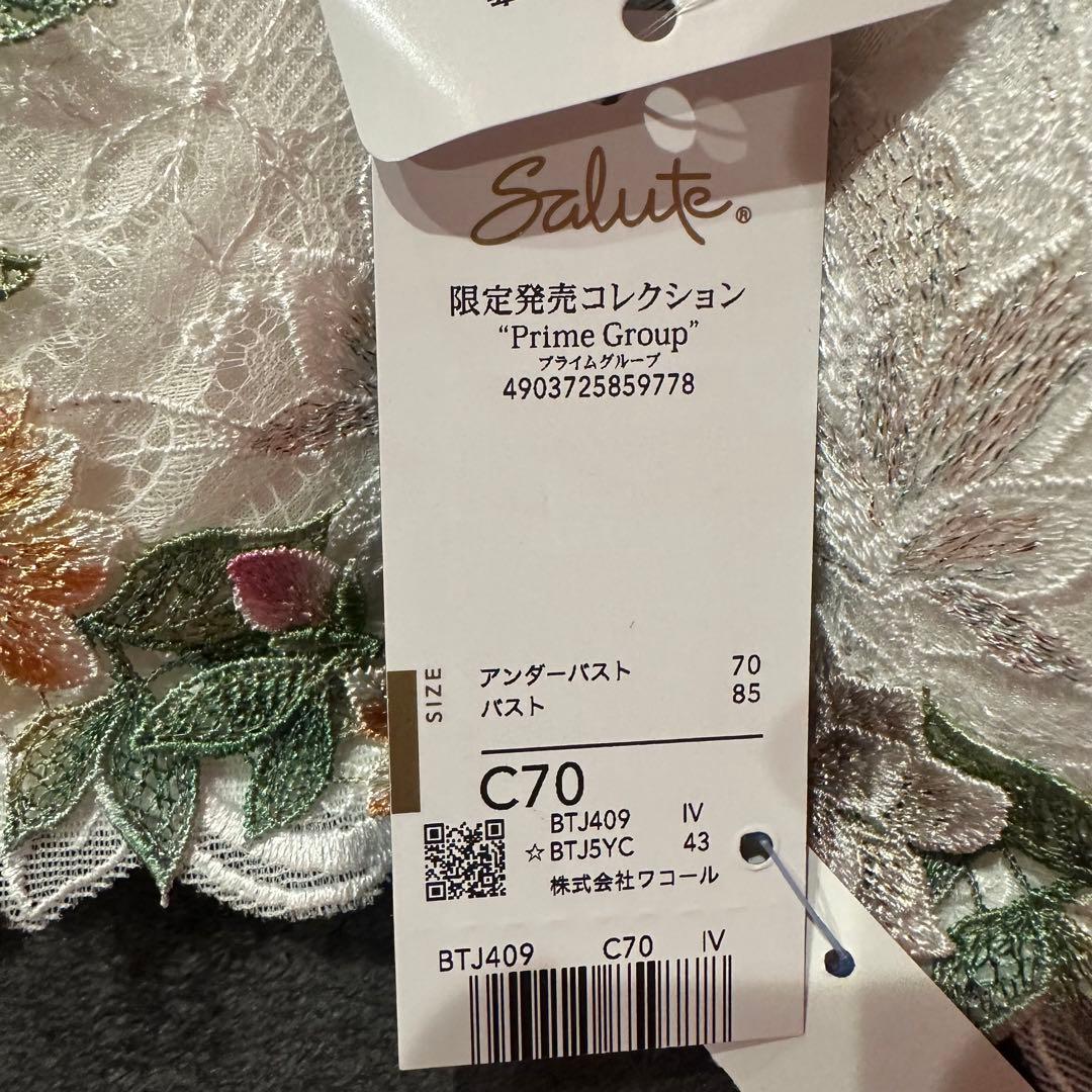 サルート　C70 09グループ