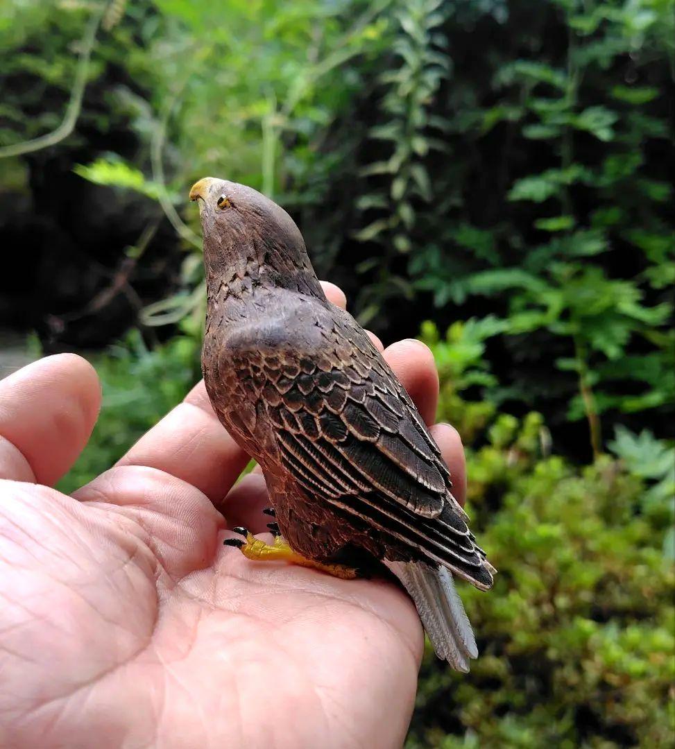 小さなバードカービング オジロワシ 野鳥 木彫り