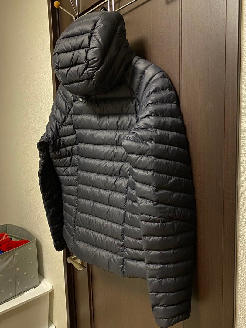 Patagonia パタゴニア ウィメンズ・ダウン・セーター・フーディ