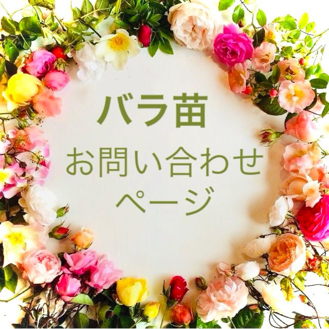 バラ苗　お問い合わせ　ページ