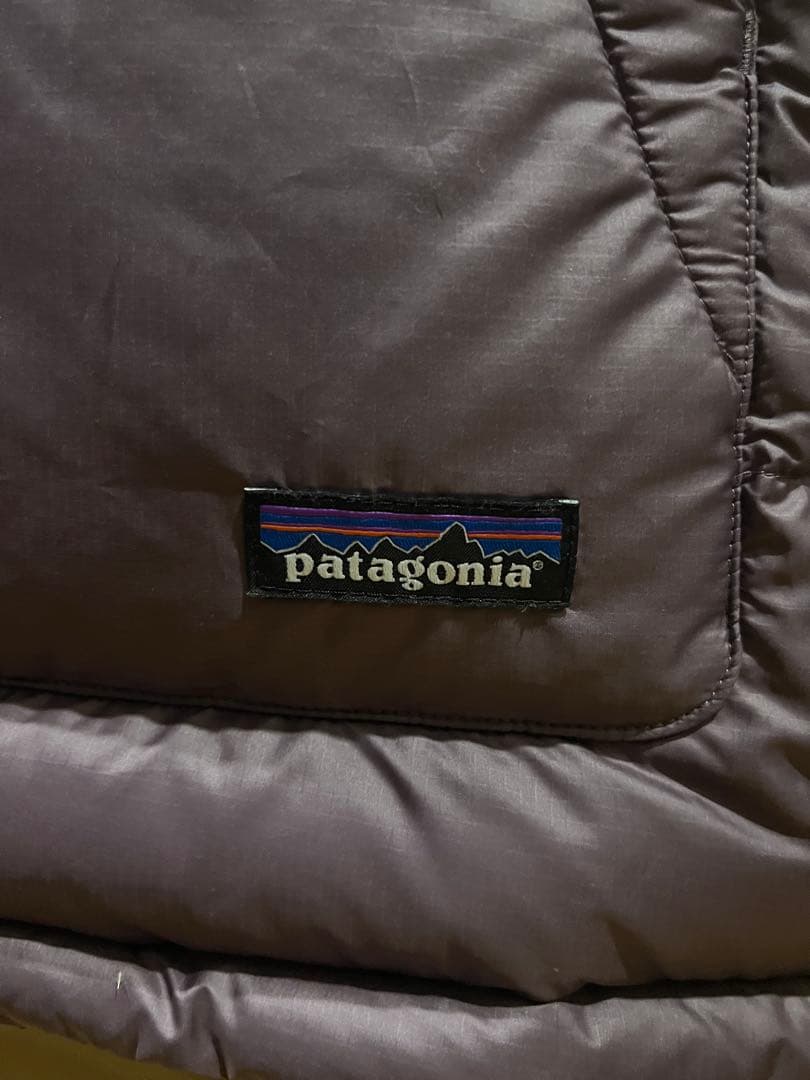 Patagoniaのダウンベスト タグ付き未使用品
