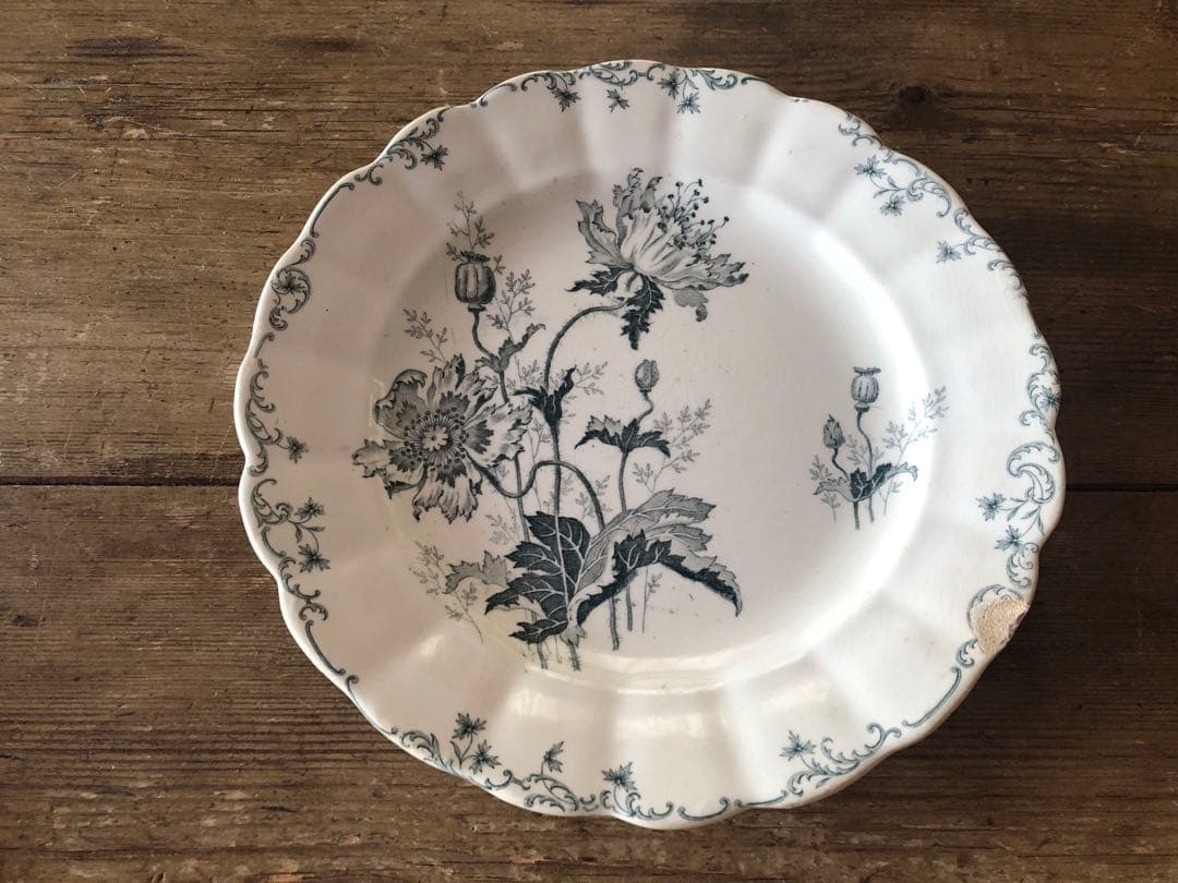 フランス/ショワジー・ル・ロワ/パヴォディナー平皿「E」