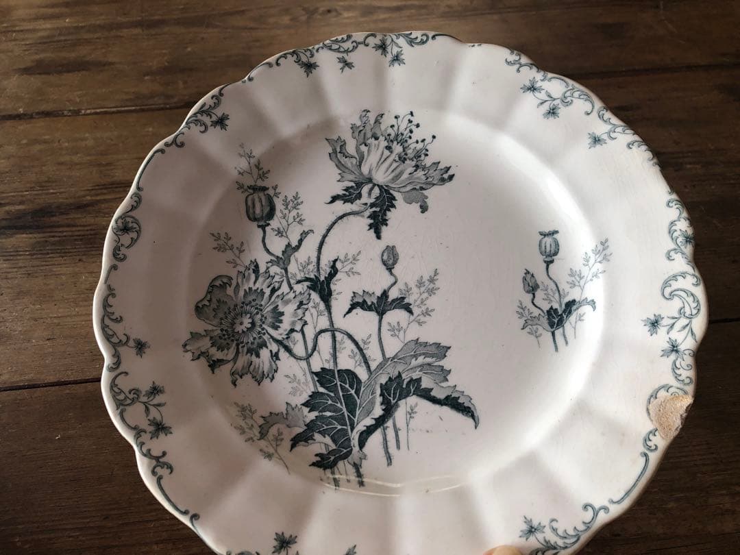 フランス/ショワジー・ル・ロワ/パヴォディナー平皿「E」