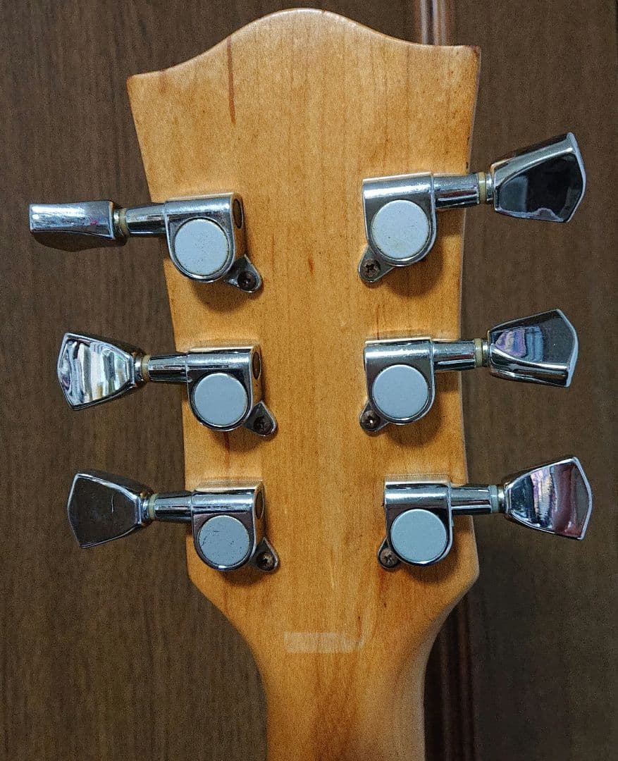 アクリル レスポールタイプ スケルトン シースルー エレキギター