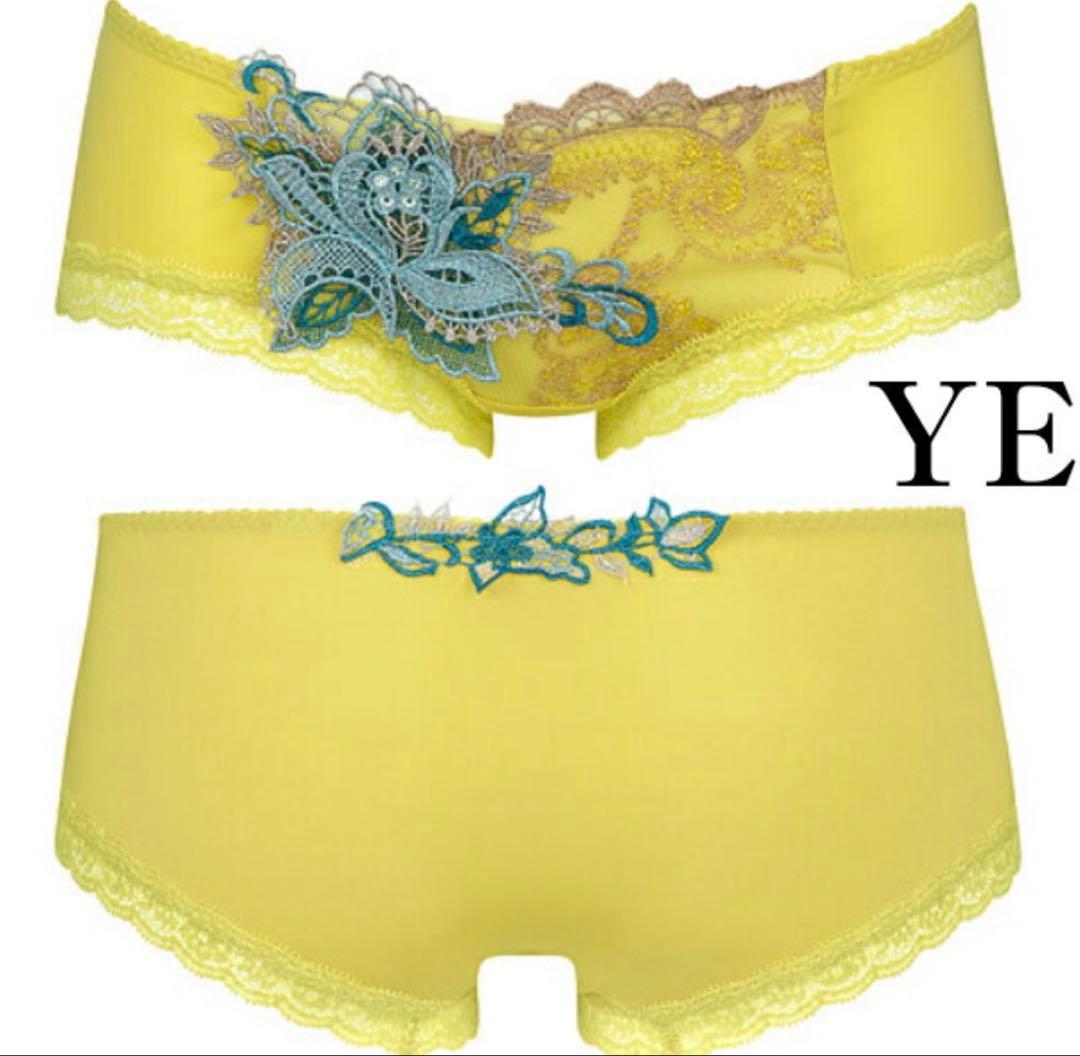 ワコール サルート B70&M2種 YE