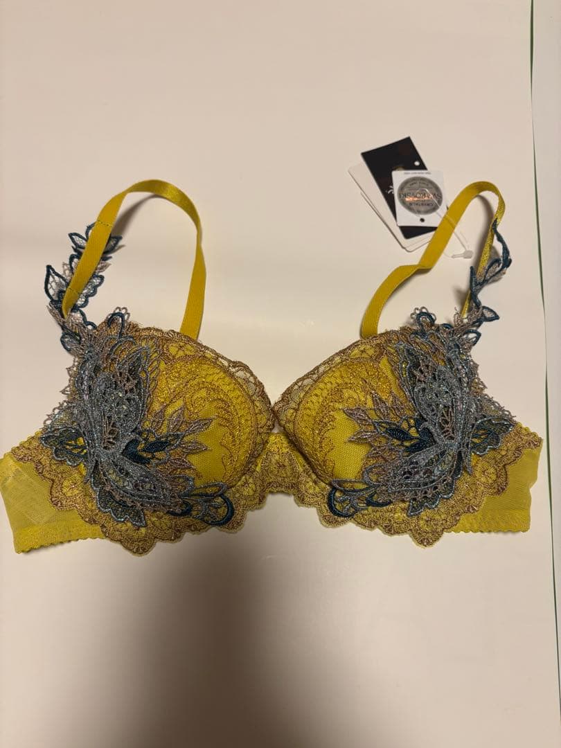 ワコール サルート B70&M2種 YE