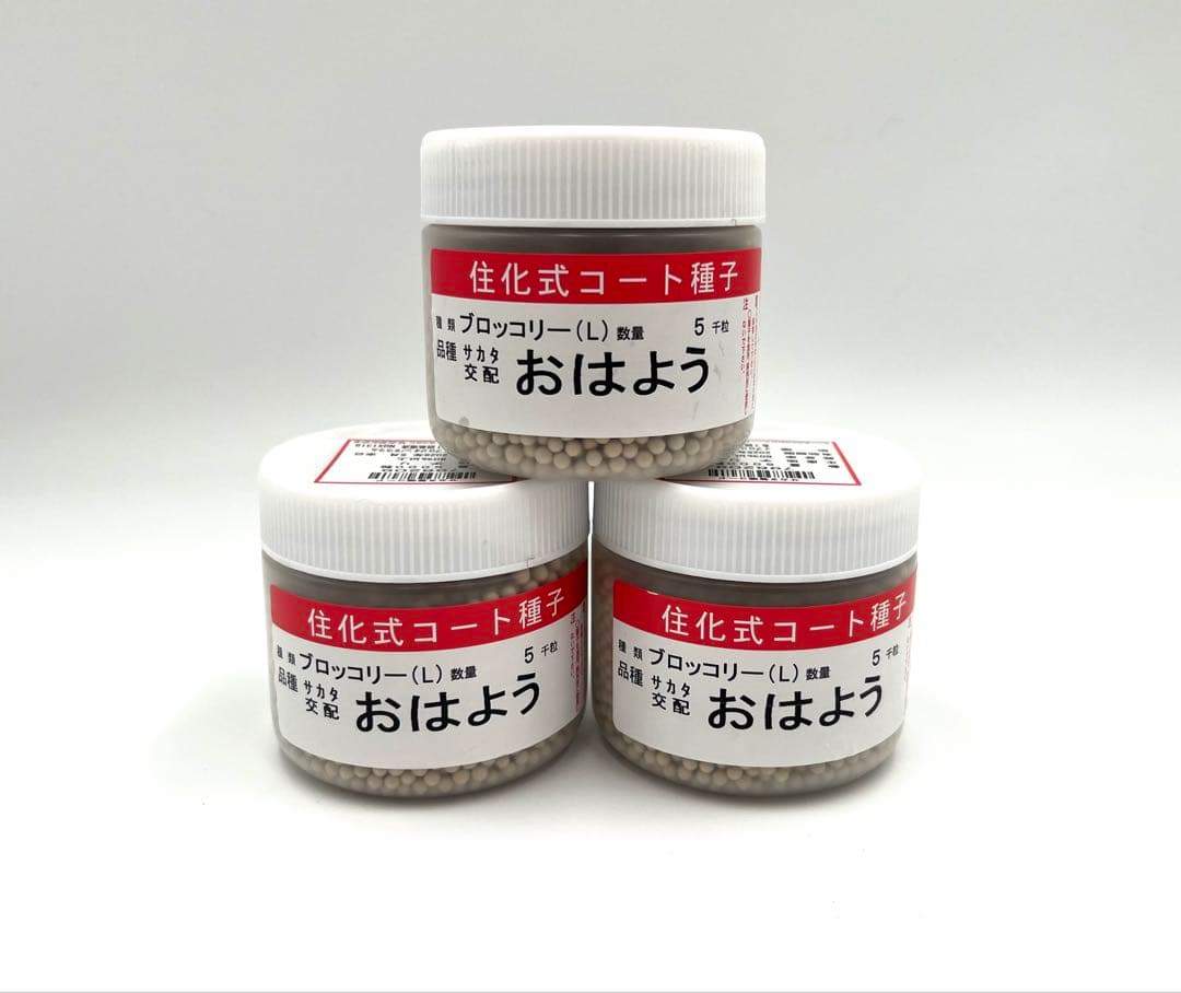 【クリスマスセール】値下げ！ブロッコリー種子（おはよう）5000粒3個セット