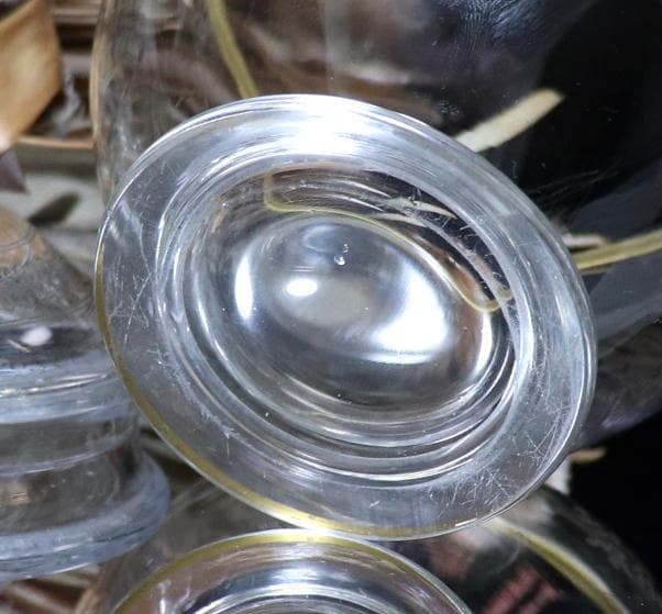 オールド・バカラ 1900年 金彩エッチング 花つなぎ文蓋物 イバラ 小物入れ