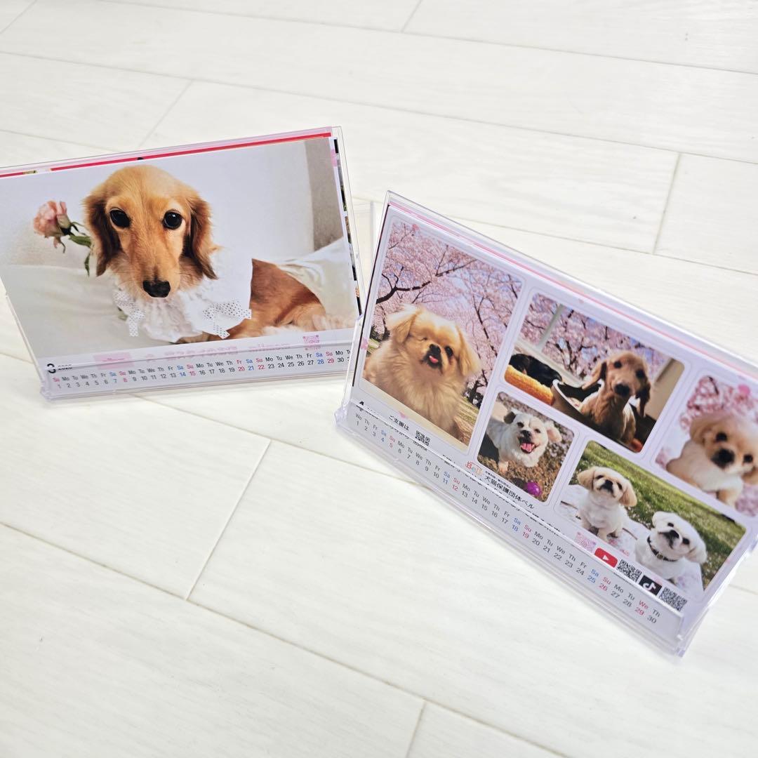 ①『犬』 卓上チャリティーカレンダー10枚セット