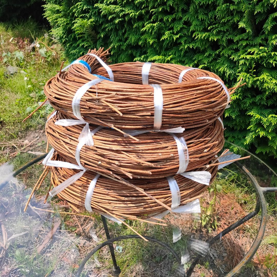 (委託品)青森県岩木山採取　あけび蔓　150cm～　3kg