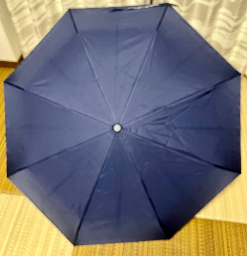 2025 最終　値下げ　岡本太郎　傘　折りたたみ傘　雷人　TARO展　限定商品