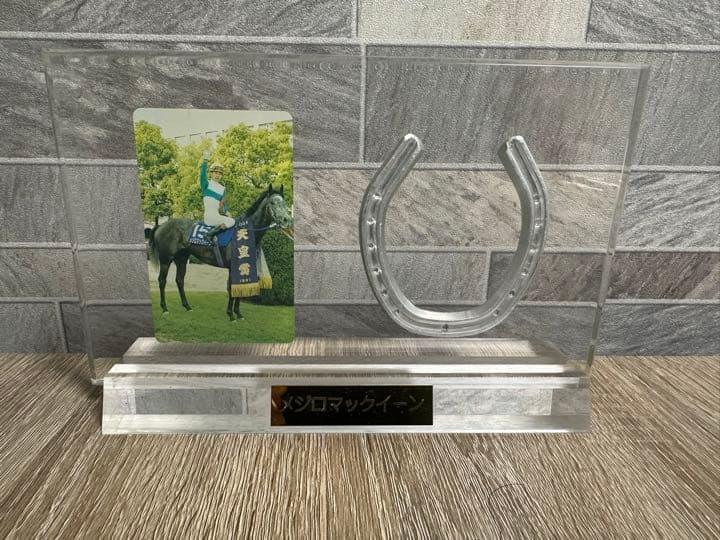 メジロマックイーン　武豊　天皇賞　蹄鉄　記念盾