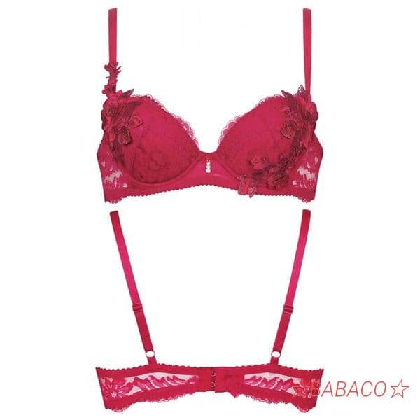 ☆サルート10 ブラ＆ショーツ RP C70M ラグジュアリー定番