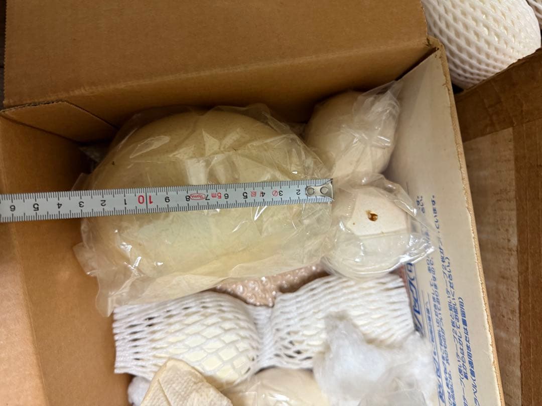 まとめ売り　エッグアート材料　卵　土台