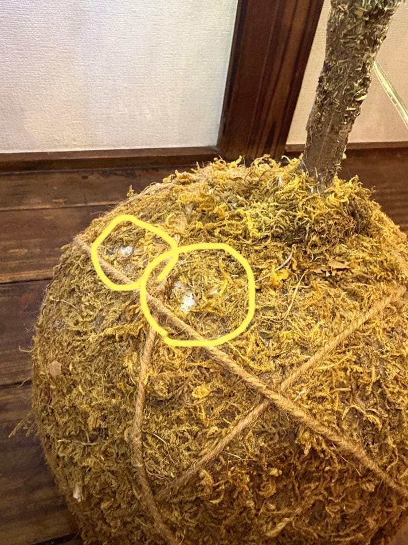 オルネ ド フォイユ　クリスマスツリー ＸLサイズ