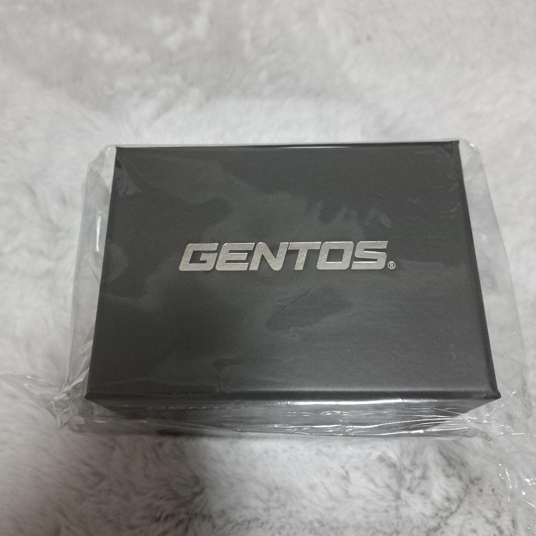 GENTOS GH-300RG ヘッドランプ