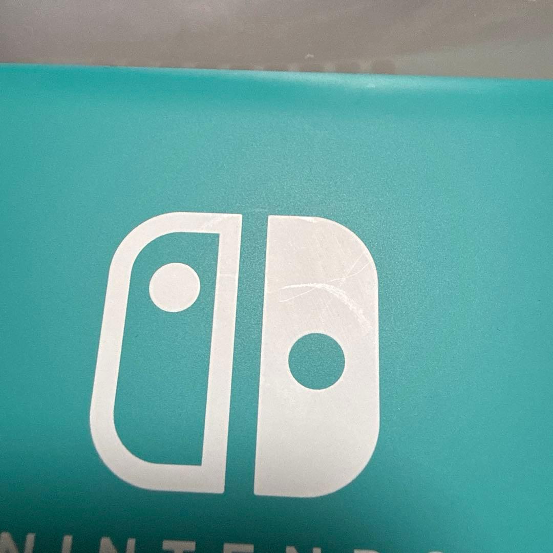 Nintendo Switch Lite ターコイズ 本体　ケース　箱付