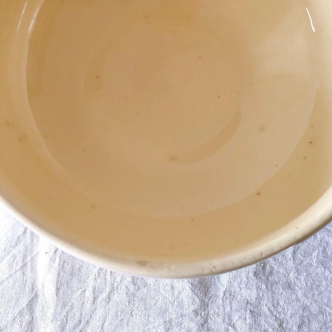 ディゴワンサルグミンヌ 花リムスーピエール フランスアンティーク食器　ブロカント