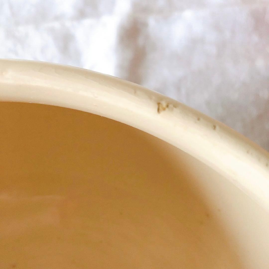 ディゴワンサルグミンヌ 花リムスーピエール フランスアンティーク食器　ブロカント