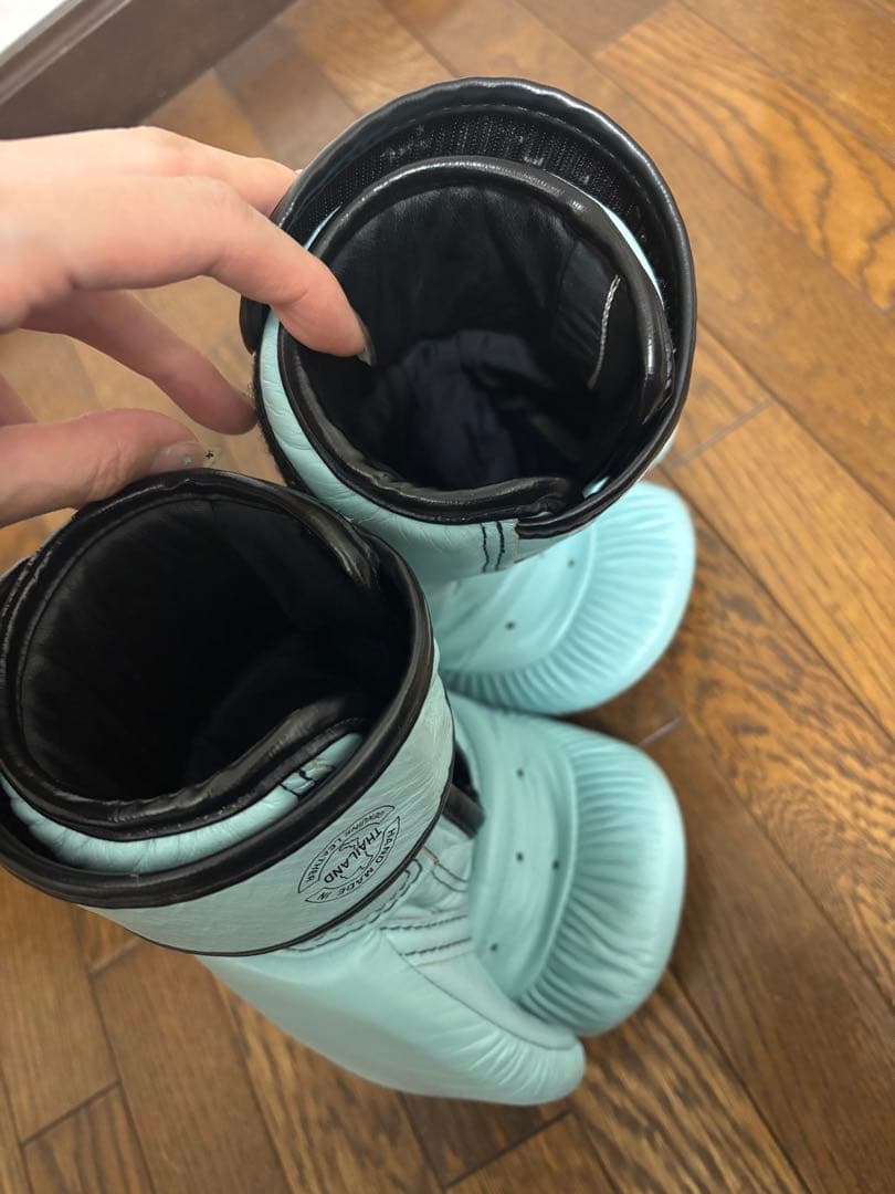 フェアテックス Fairtex BGV20 ボクシンググローブ 10oz