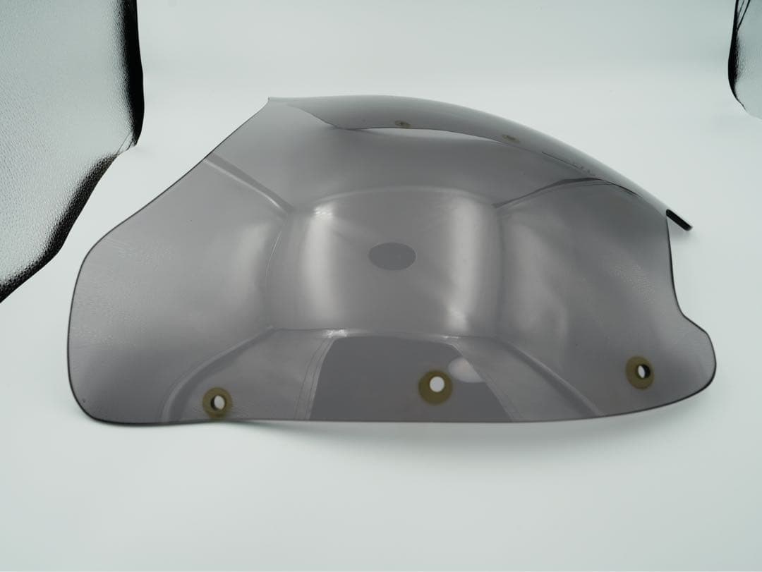 RnineT用　ワンダーリッヒ　スポーツスクリーン