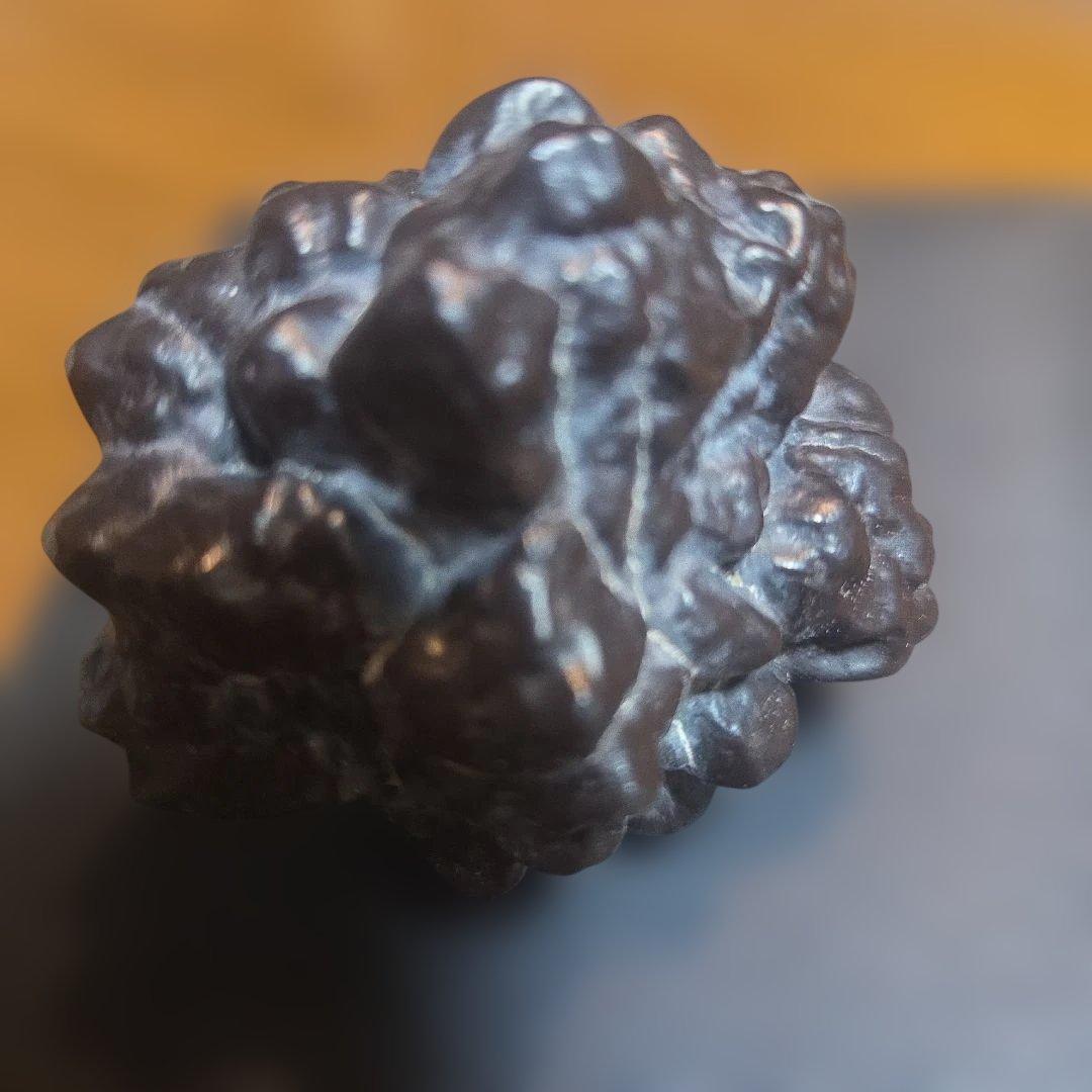 プロフェシーストーン 原石 エジプトの星 天然石 パワーストーン　ゼットストーン