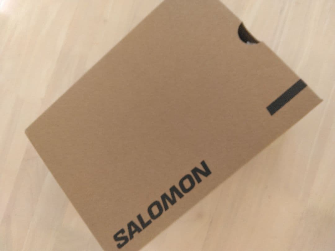 ★最終値下げ【国内正規品】サロモン　XA PRO 3D V9 GTX　23.0㎝