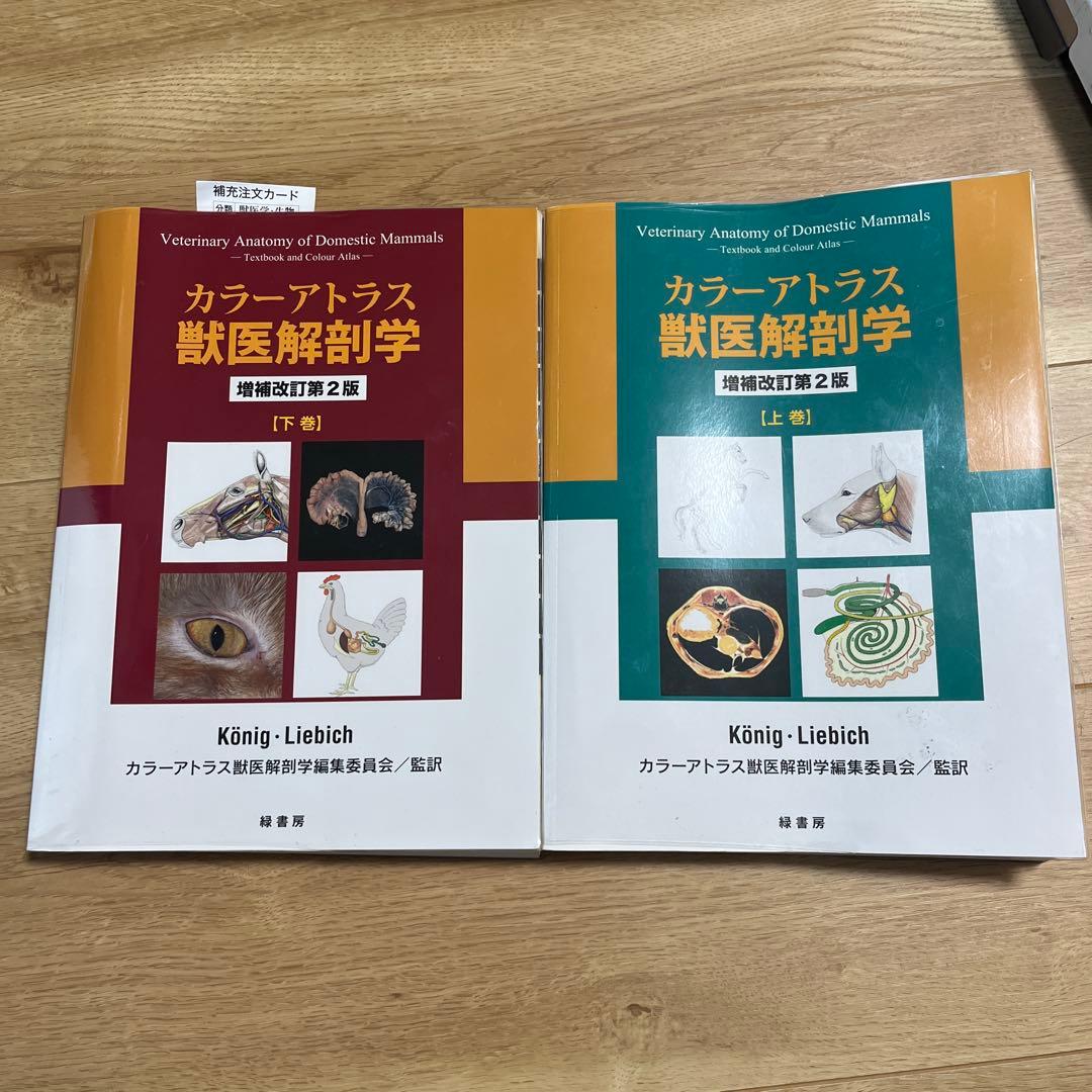 カラーアトラス獣医解剖学 上巻　下巻