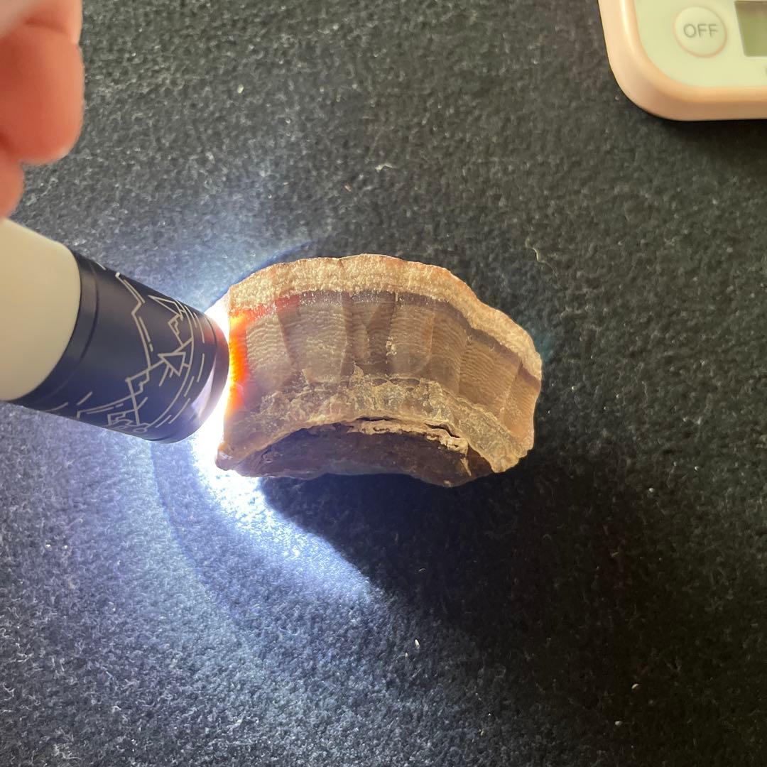 希少国産天然石稲倉鉱山インカローズ原石ロードクロサイト