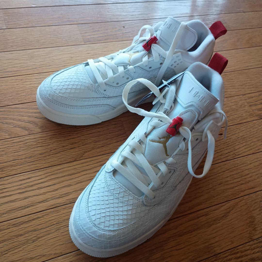 NIKE JORDAN SPIZIKE ジョーダン スパイクリー エルブエロ