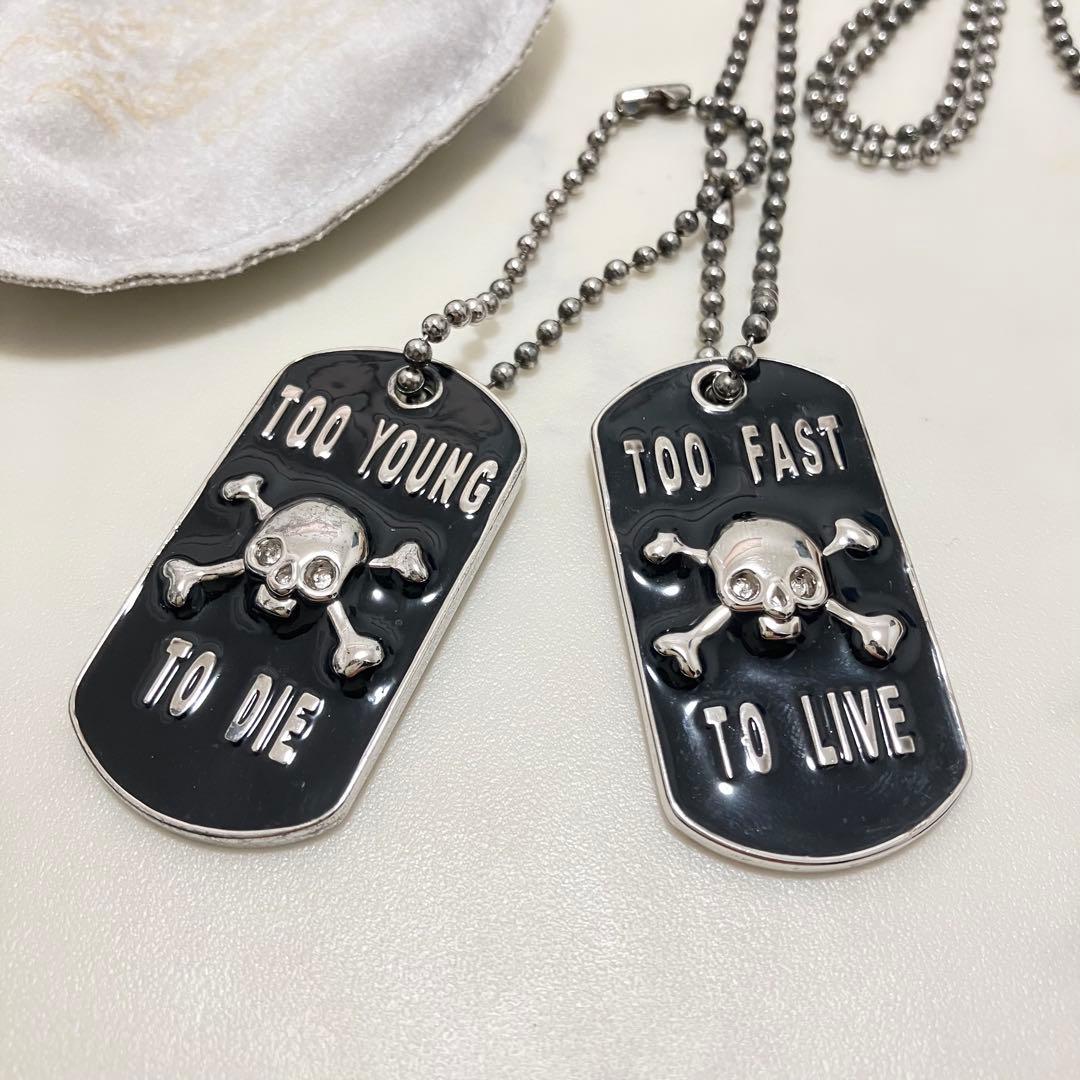 【希少】VivienneWestwood✨ドッグタグ　ネックレス