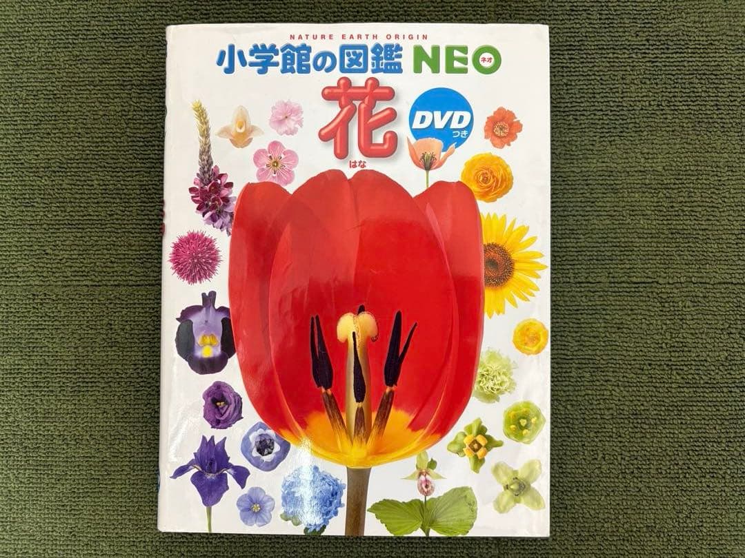 小学館の図鑑NEO10冊 ＆ 学研図鑑1冊、全11冊セット