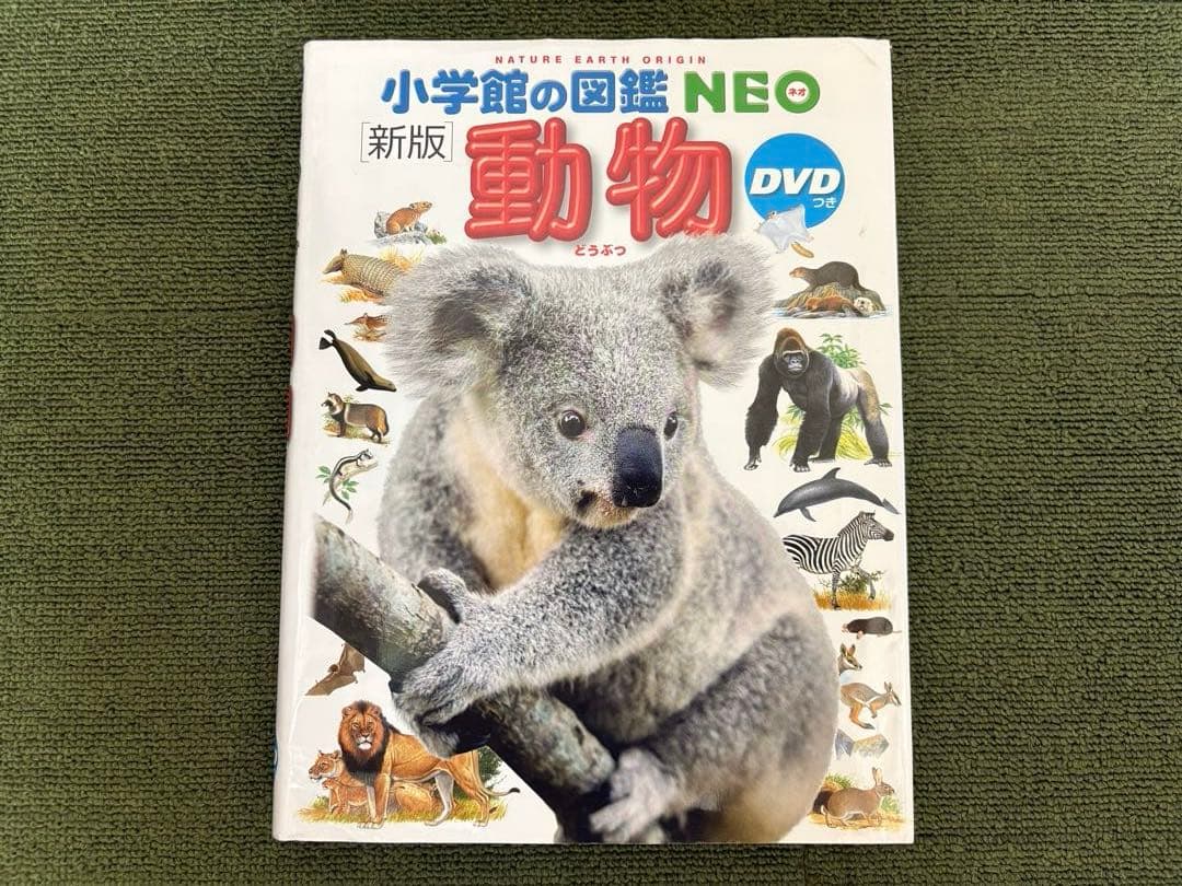 小学館の図鑑NEO10冊 ＆ 学研図鑑1冊、全11冊セット